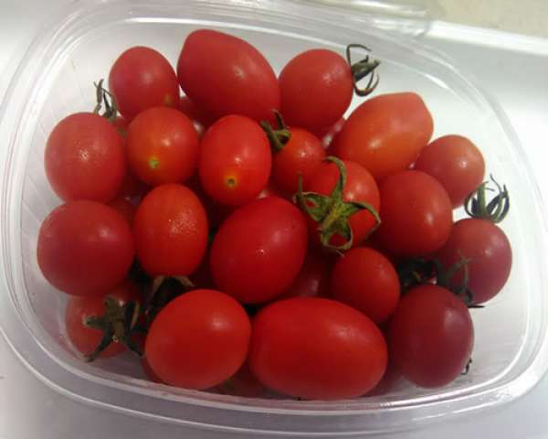 Tomate Cereja Bio