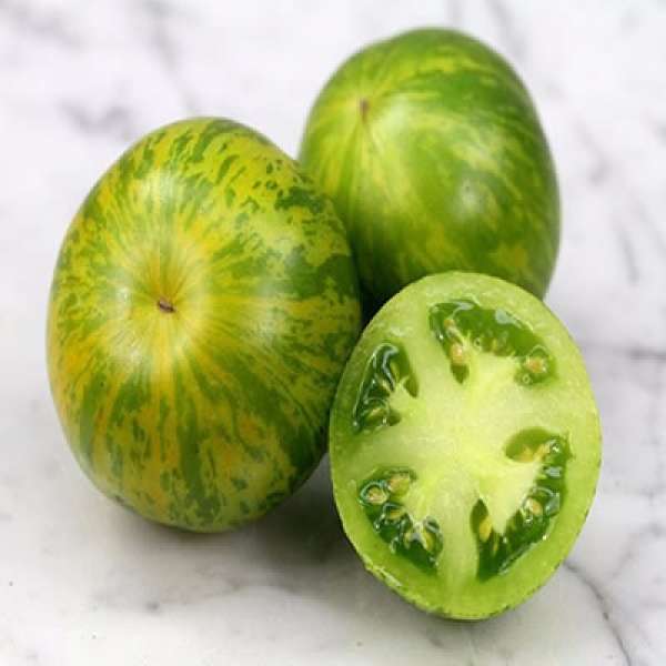 Tomate Zebra Verde Bio
