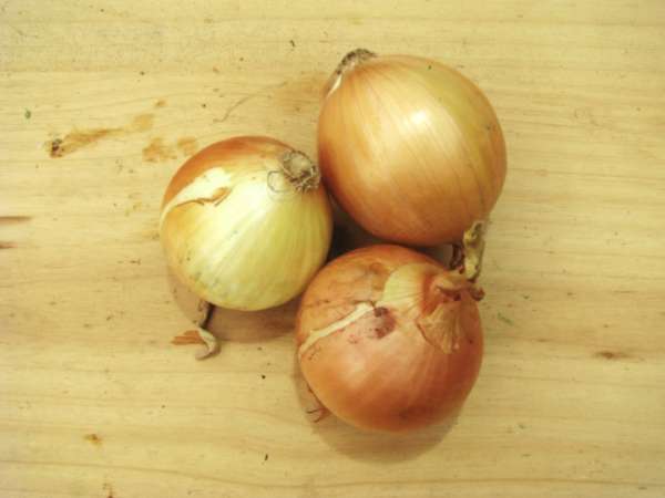 Cebola Bio