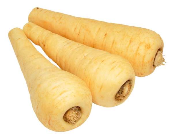 Pastinaca Bio